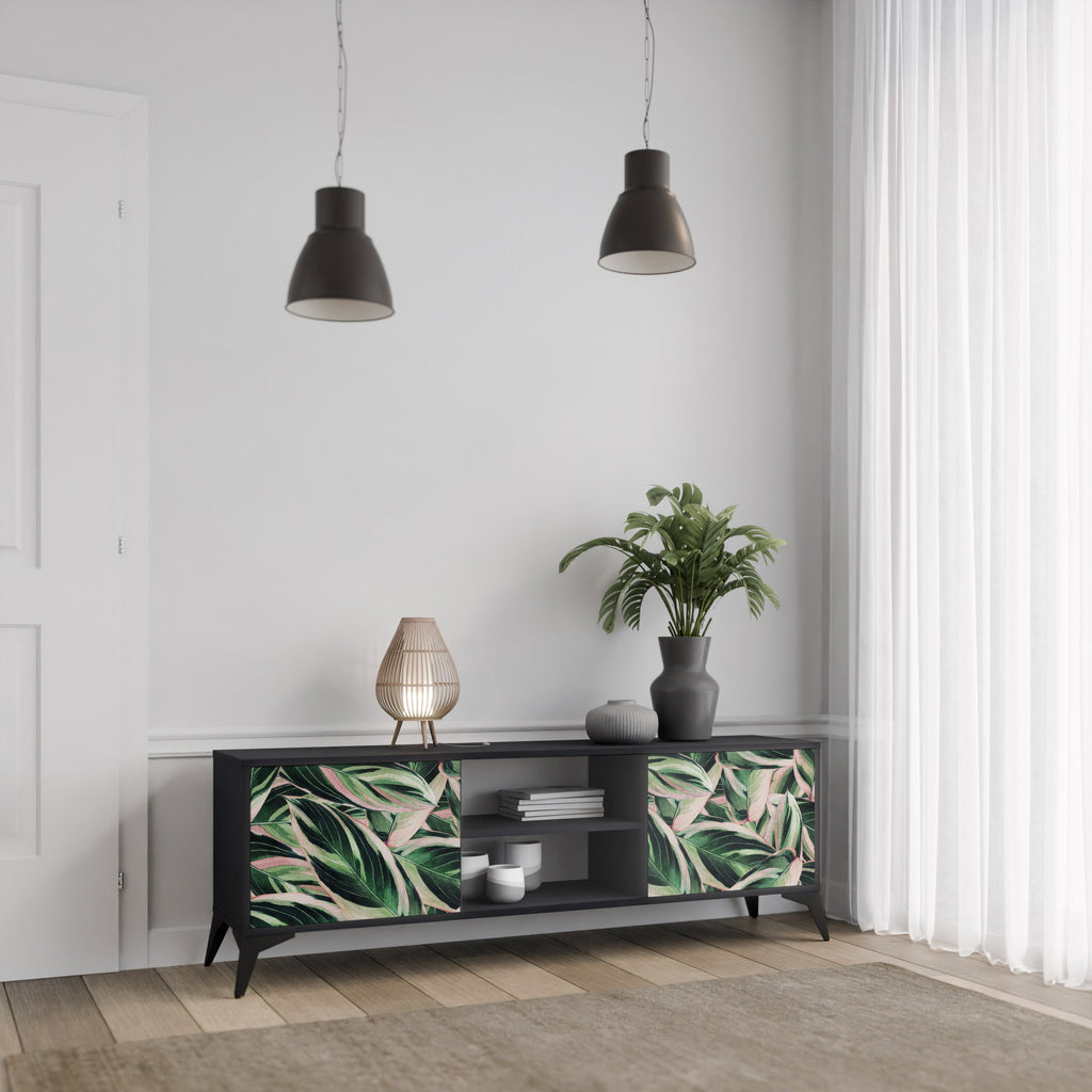 EERIE STROMANTHE 2-Door TV Stand in Black Finish