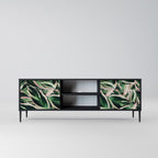 EERIE STROMANTHE 2-Door TV Stand in Black Finish