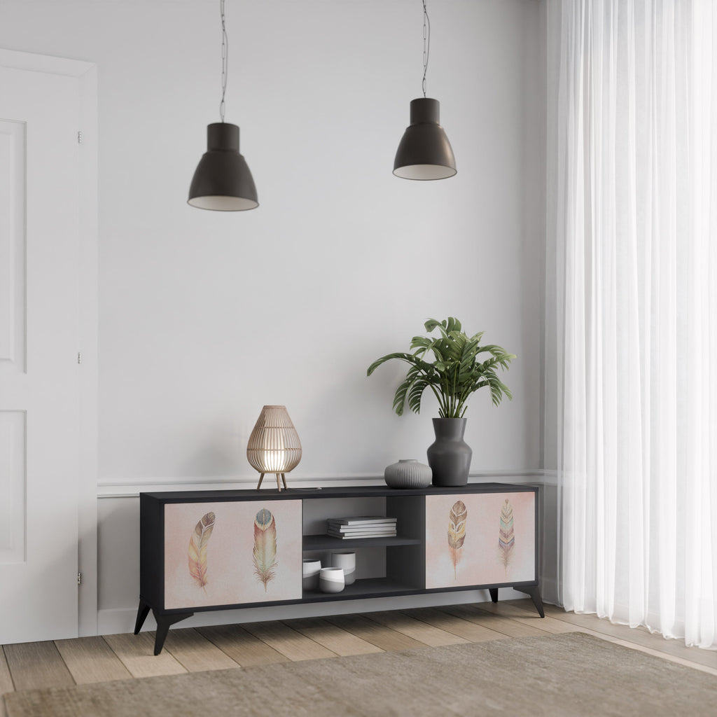 THE DELIQUESCE 2-Door TV Stand in Black Finish