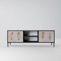 THE DELIQUESCE 2-Door TV Stand in Black Finish