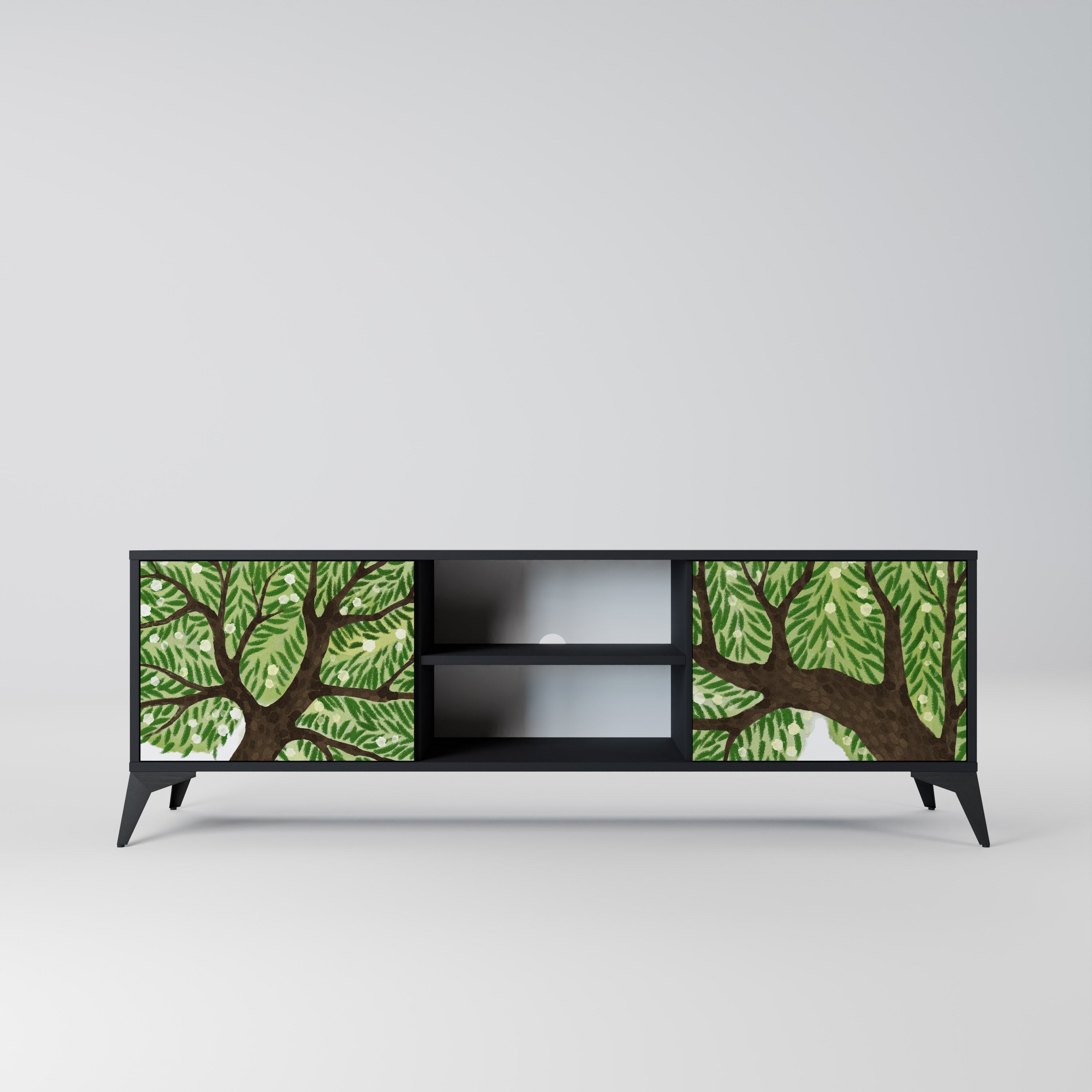 WILDERNESS DASH TV-Lowboard mit 2 Türen in Schwarz
