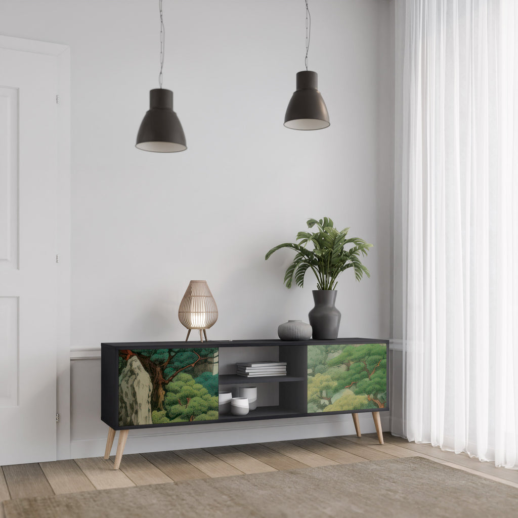 VERDURE ABYSS TV-Lowboard mit 2 Türen in Schwarz