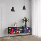 FESTIVE PLEASURES TV-Lowboard mit 2 Türen in Schwarz