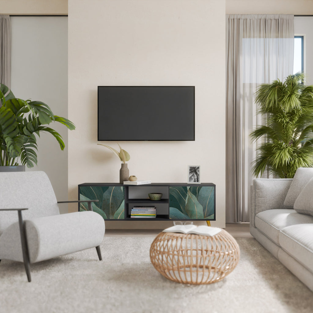 ROYAL GREEN TV-Lowboard mit 2 Türen in Schwarz