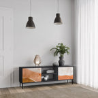 SANDHILLS SPLENDOUR TV-Lowboard mit 2 Türen in Schwarz