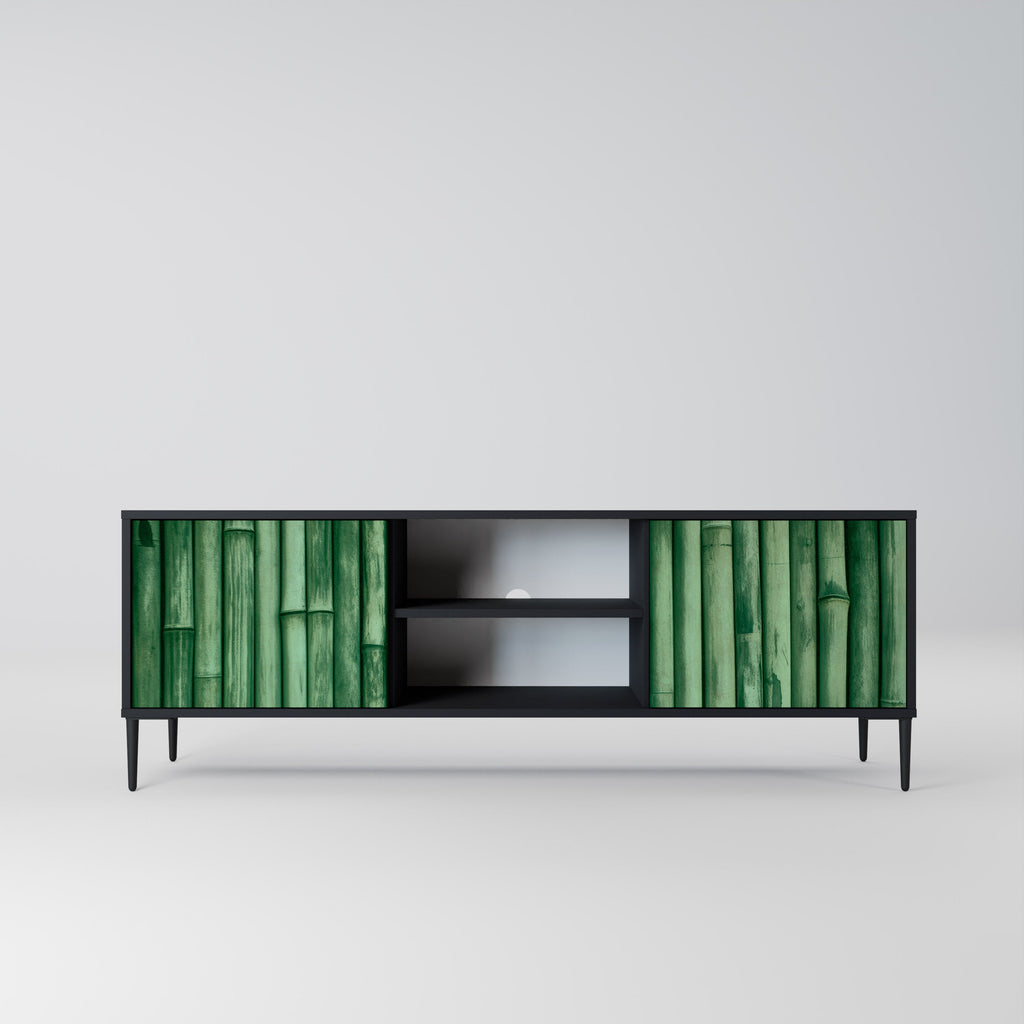 NATURAL GREEN 2-Door TV Stand in Black Finish