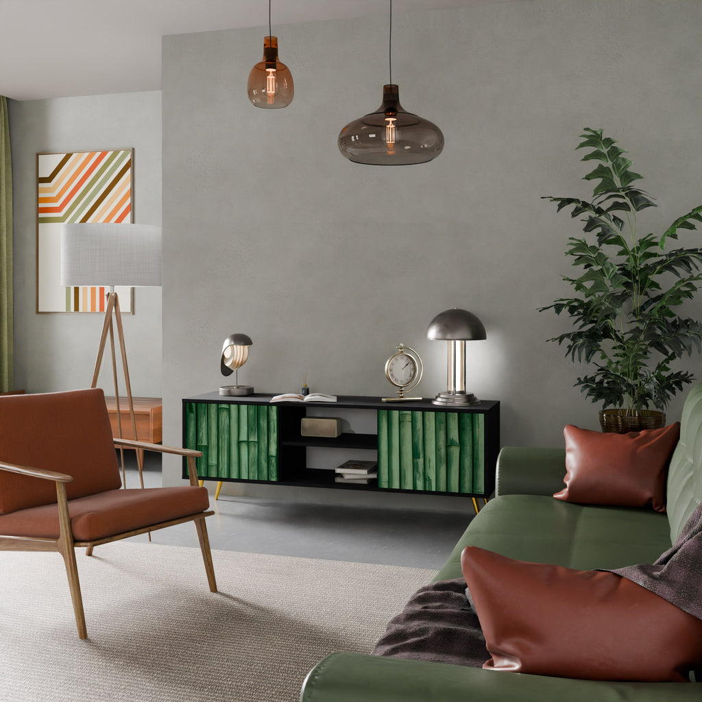 NATURAL GREEN 2-Door TV Stand in Black Finish