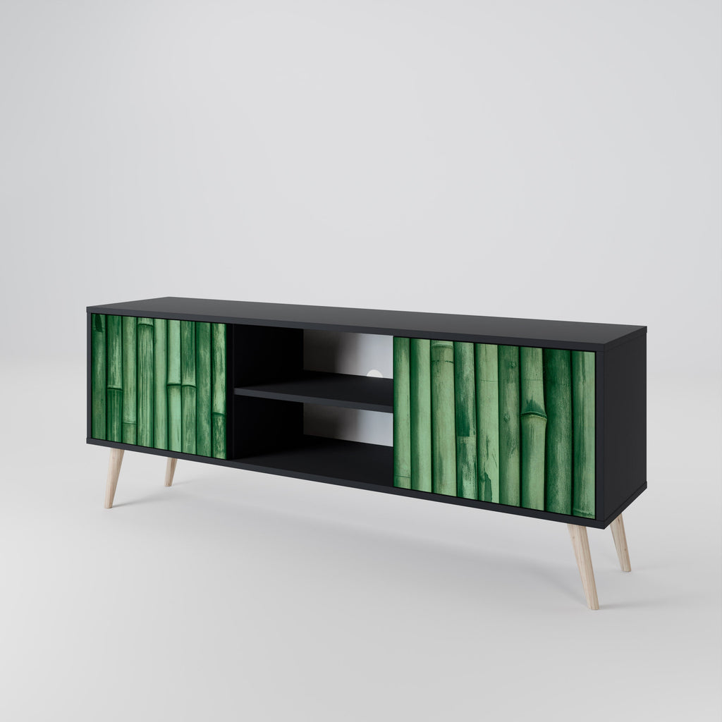 NATURAL GREEN 2-Door TV Stand in Black Finish