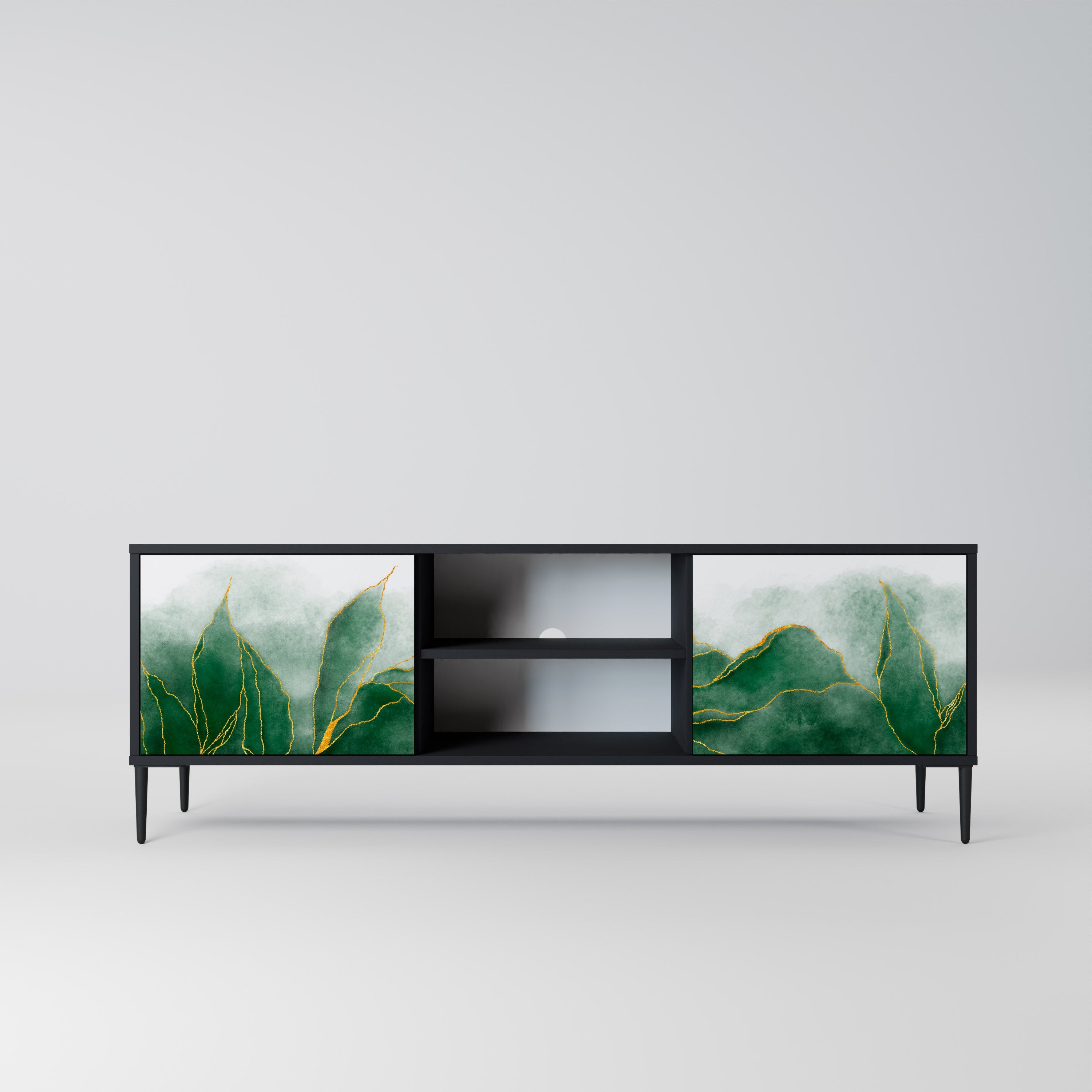EXPENSIVE NATURE 2-Door TV Stand in Black Finish