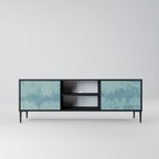 SKY WASH 2-Door TV Stand in Black Finish