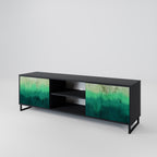 NORTHERN LIGHTS 2-Door TV Stand in Black Finish