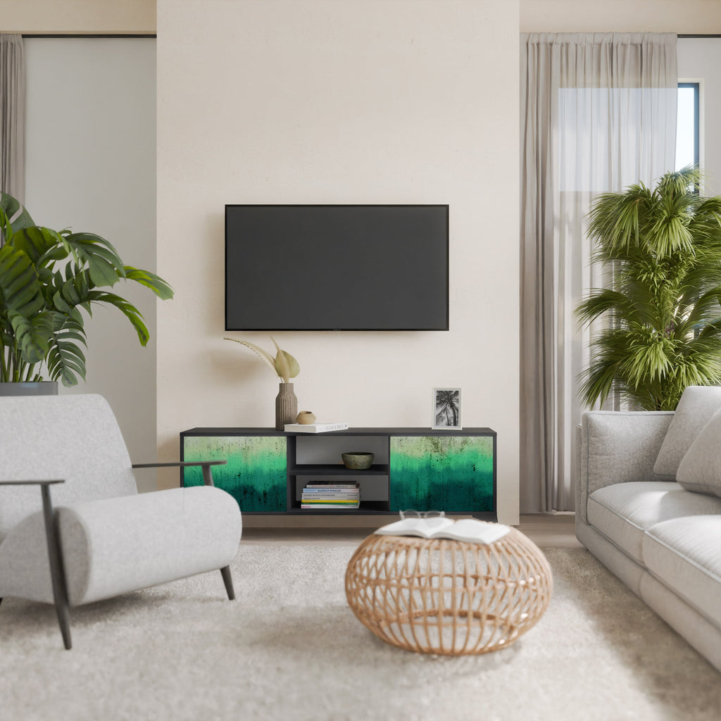 NORTHERN LIGHTS 2-Door TV Stand in Black Finish