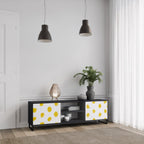 RADIANT REVERIE 2-Door TV Stand in Black Finish