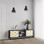 RADIANT REVERIE 2-Door TV Stand in Black Finish