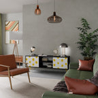 RADIANT REVERIE 2-Door TV Stand in Black Finish