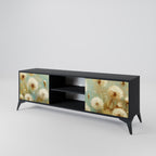 DREAMY MEADOW 2-Door TV Stand in Black Finish