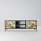 DREAMY MEADOW 2-Door TV Stand in Black Finish