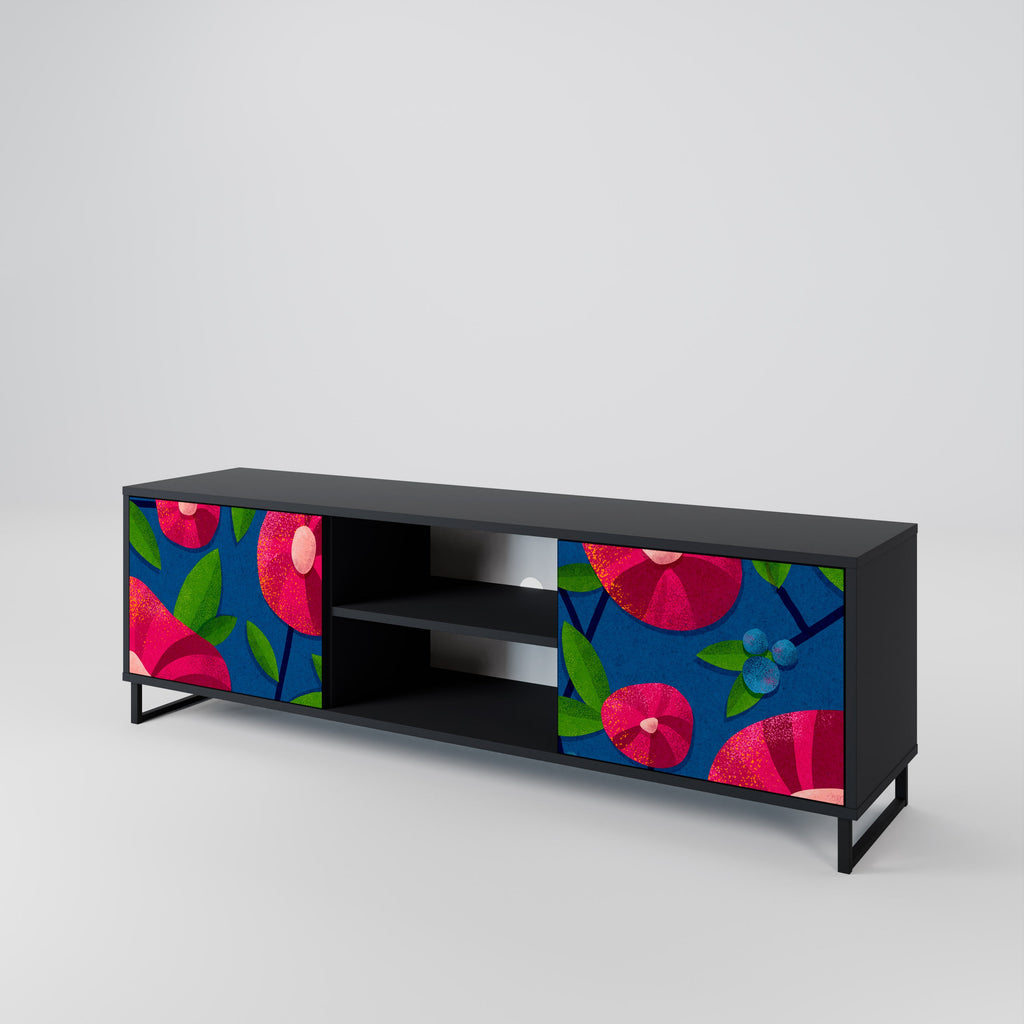 SPRING THOUGHTS 2-Door TV Stand in Black Finish