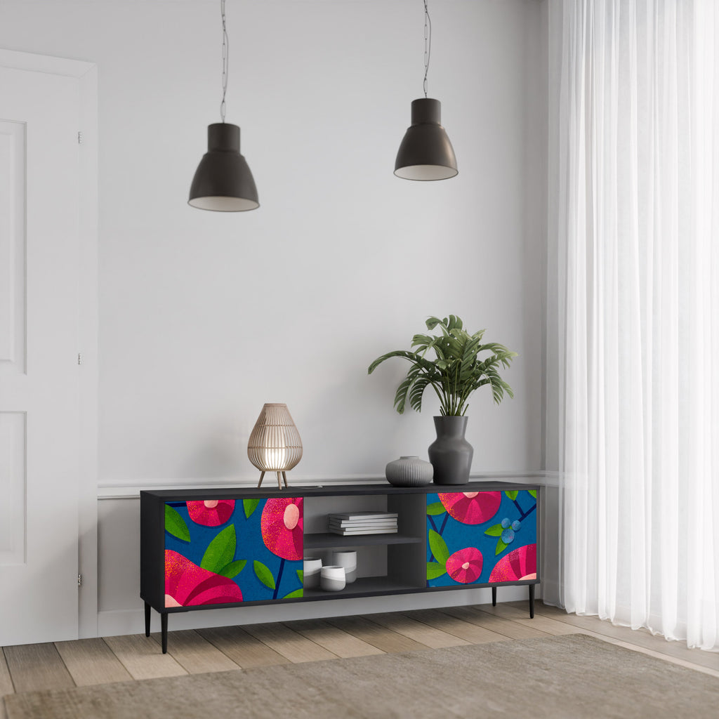 SPRING THOUGHTS 2-Door TV Stand in Black Finish