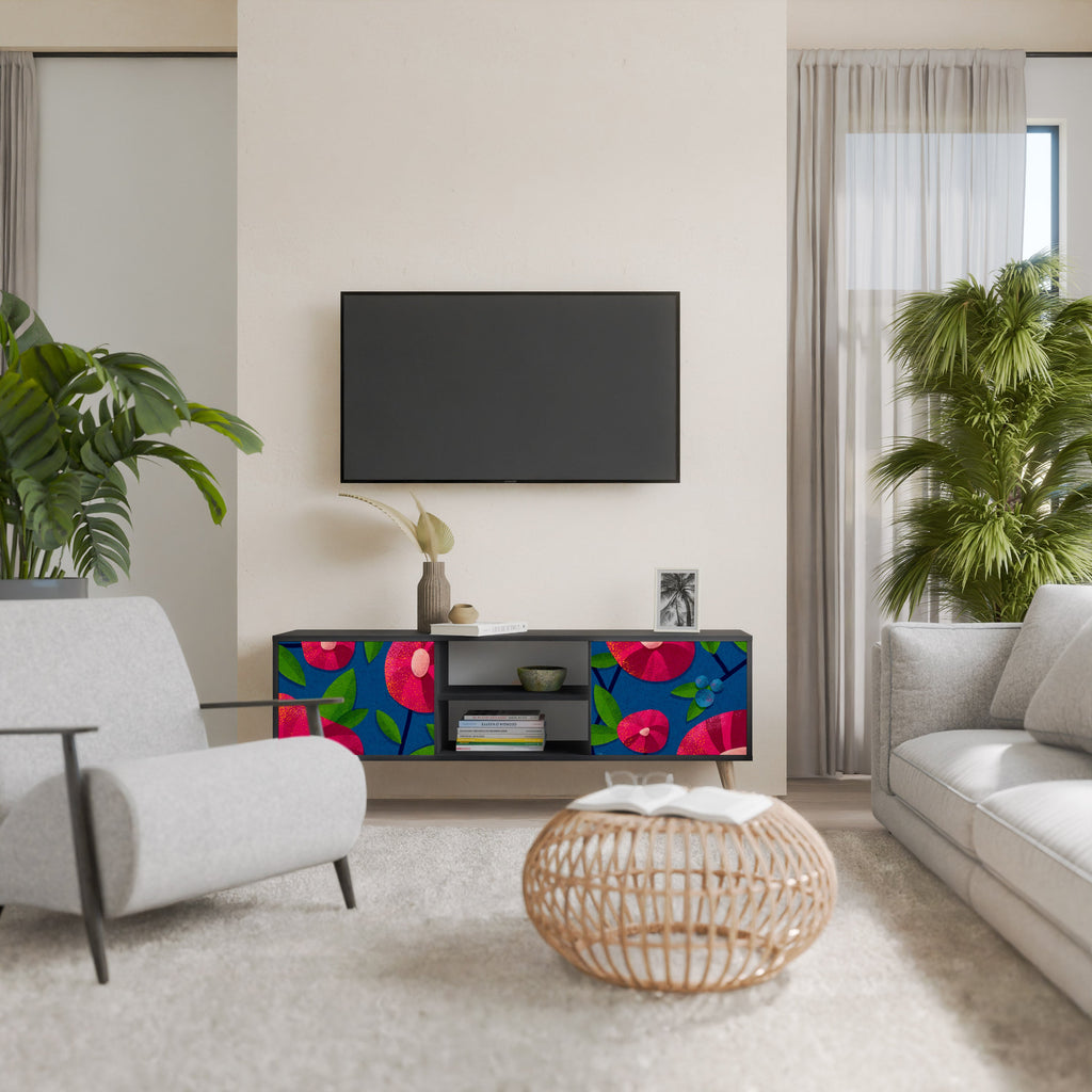 SPRING THOUGHTS 2-Door TV Stand in Black Finish