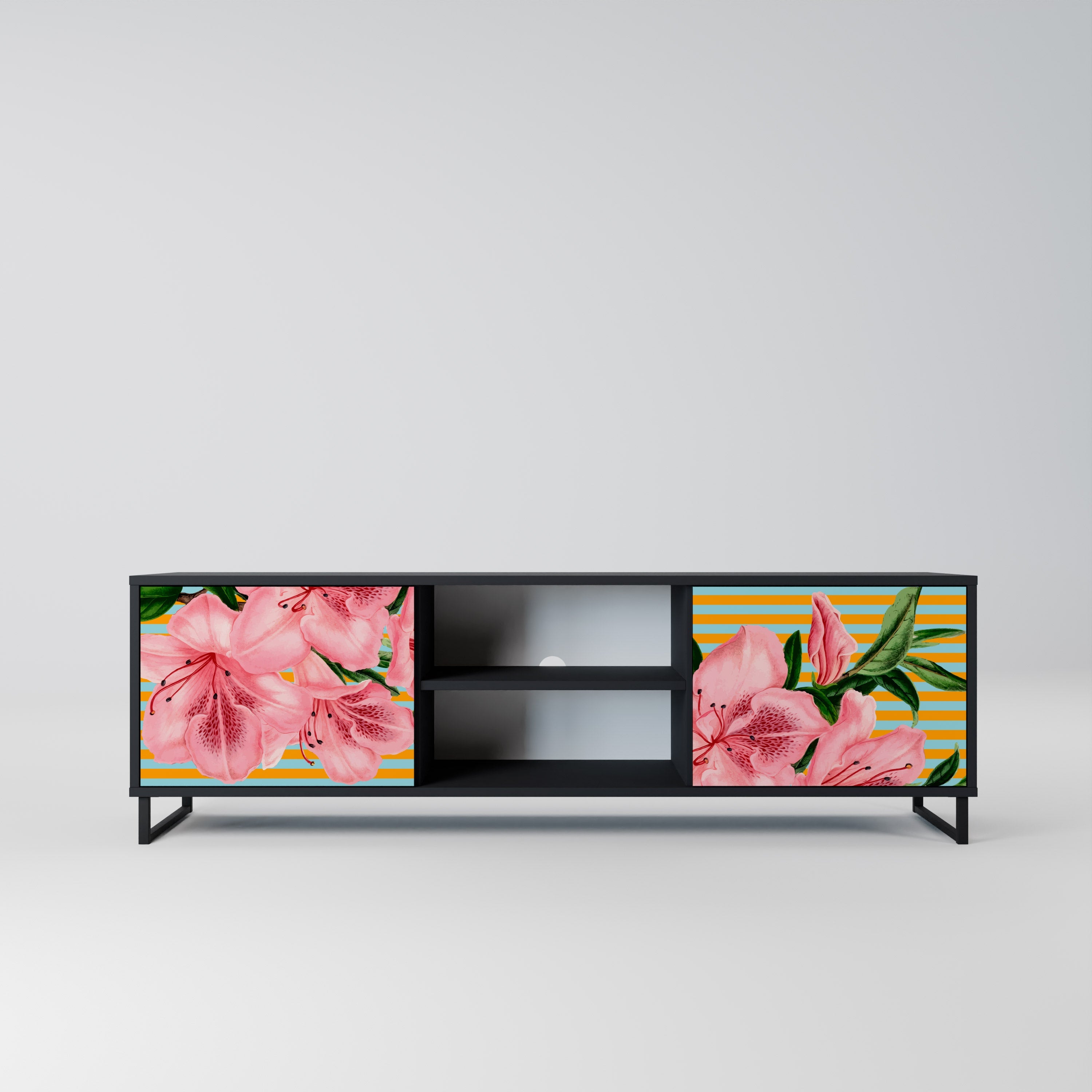 FRAGILE BEAUTY 2-Door TV Stand in Black Finish