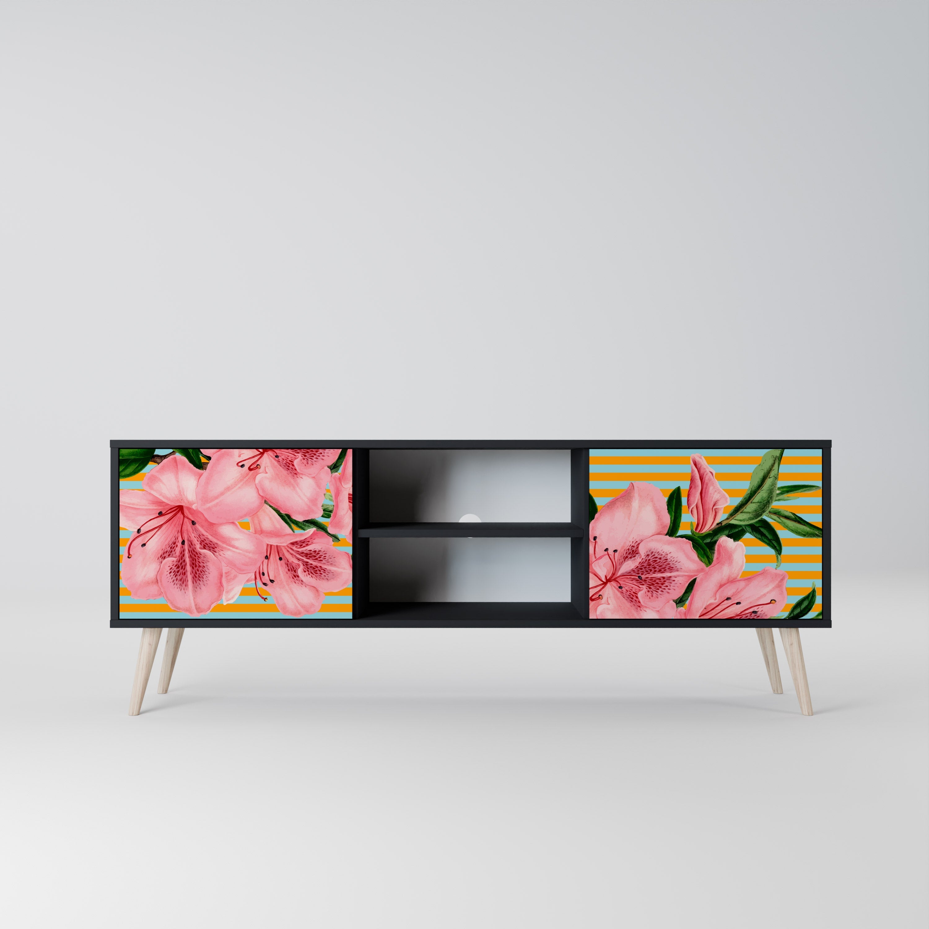 FRAGILE BEAUTY 2-Door TV Stand in Black Finish