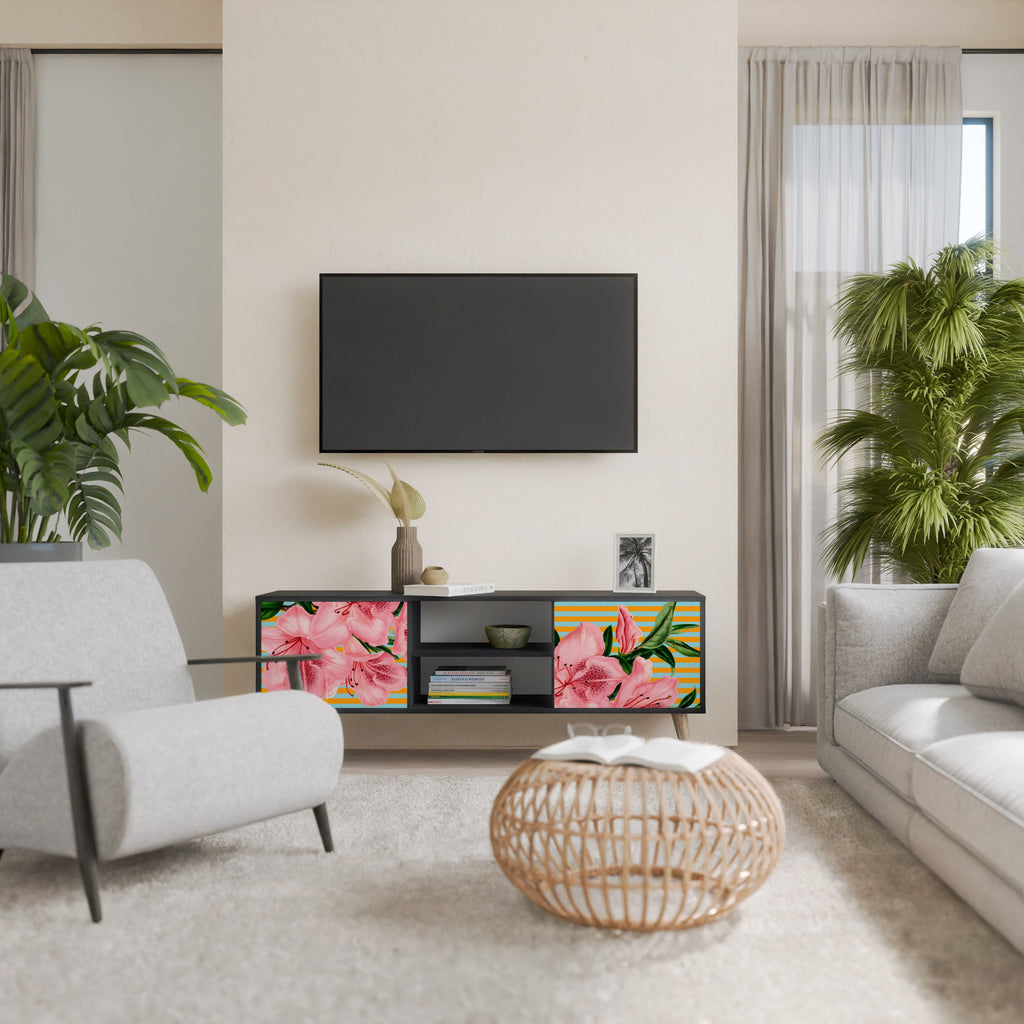 FRAGILE BEAUTY 2-Door TV Stand in Black Finish