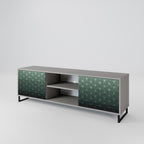ORNAMENTAL GLIMMER 2-Door TV Stand in Grey Finish