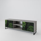INFINITE MONSTERA 2-Door TV Stand in Grey Finish