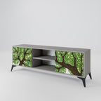 WILDERNESS DASH TV-Lowboard mit 2 Türen in Grau