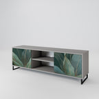 ROYAL GREEN 2-Door TV Stand in Grey Finish