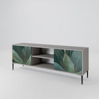 ROYAL GREEN 2-Door TV Stand in Grey Finish