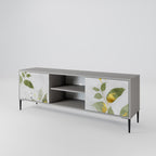 ELEGANT BOTANICS 2-Door TV Stand in Grey Finish