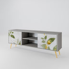 ELEGANT BOTANICS 2-Door TV Stand in Grey Finish
