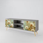 DREAMY MEADOW TV-Lowboard mit 2 Türen in Grau