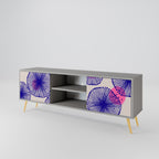 MAGIC NATURE 2-Door TV Stand in Grey Finish