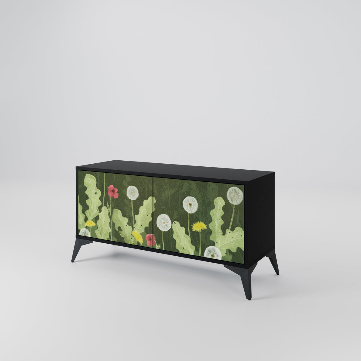 DANDELION AMUSE Kompaktes 2-türiges TV-Lowboard