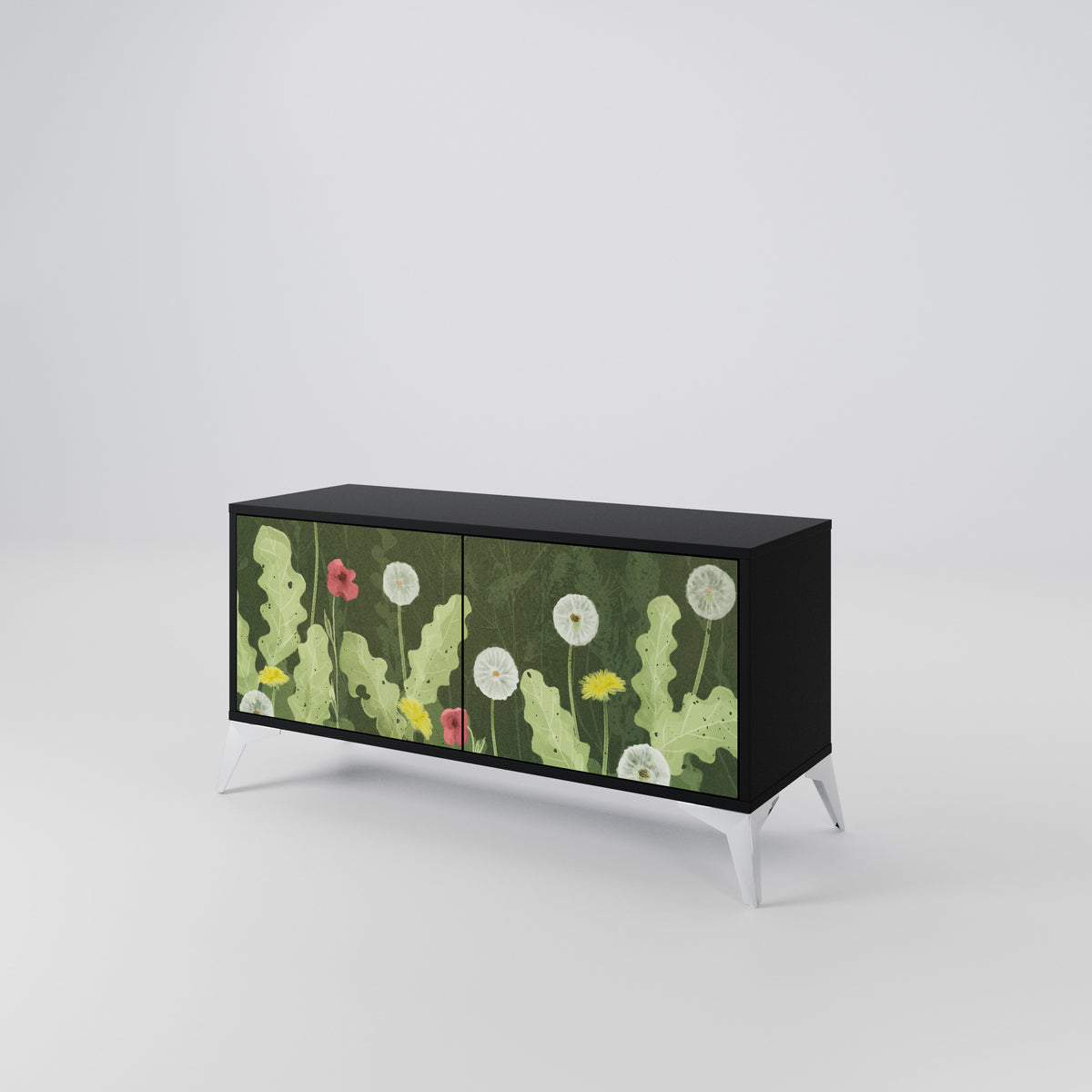 DANDELION AMUSE Kompaktes 2-türiges TV-Lowboard