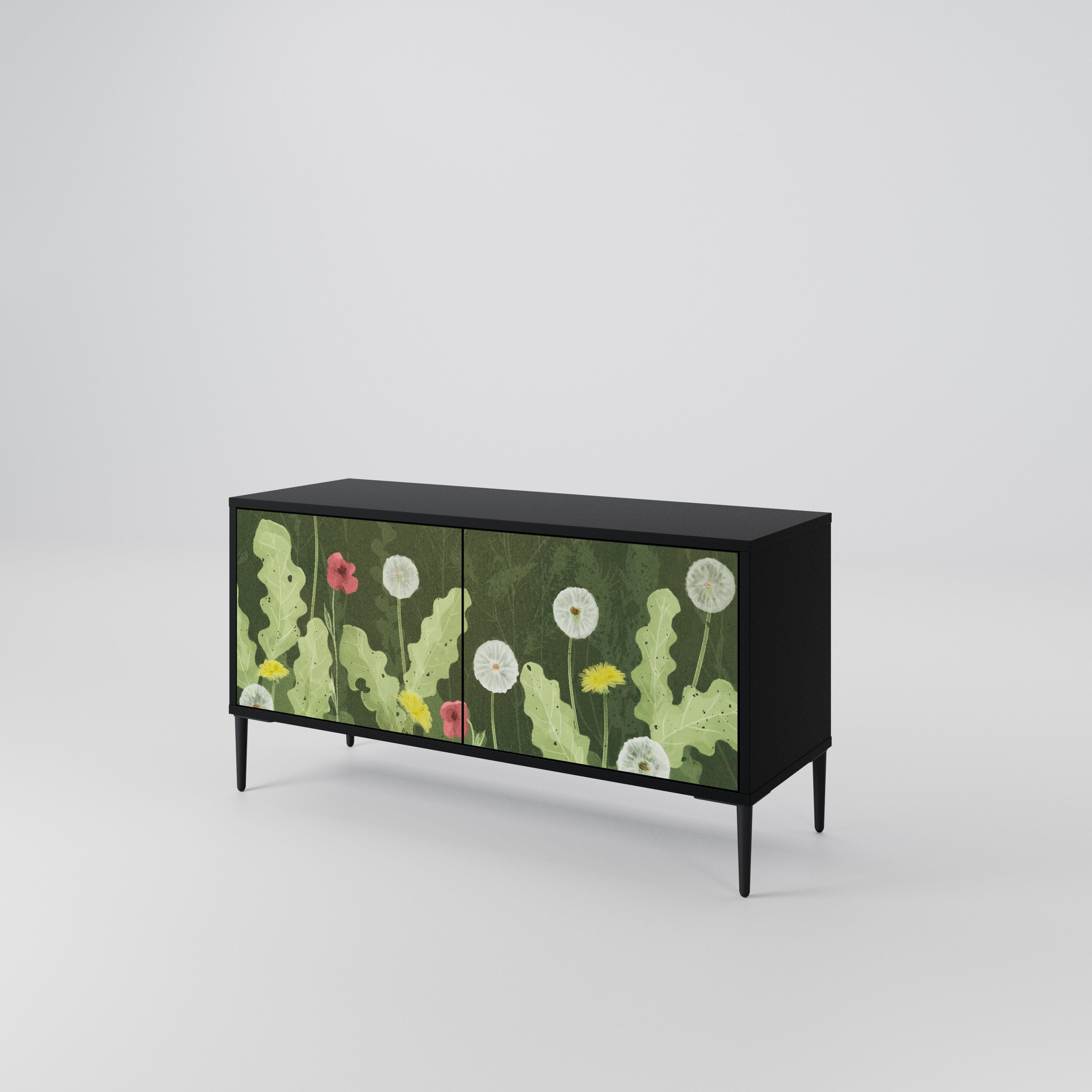 DANDELION AMUSE Compact 2-Door TV Cabinet