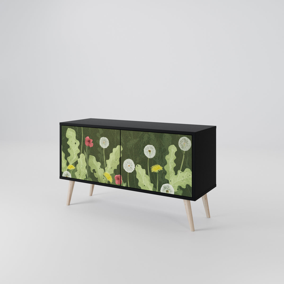 DANDELION AMUSE Kompaktes 2-türiges TV-Lowboard