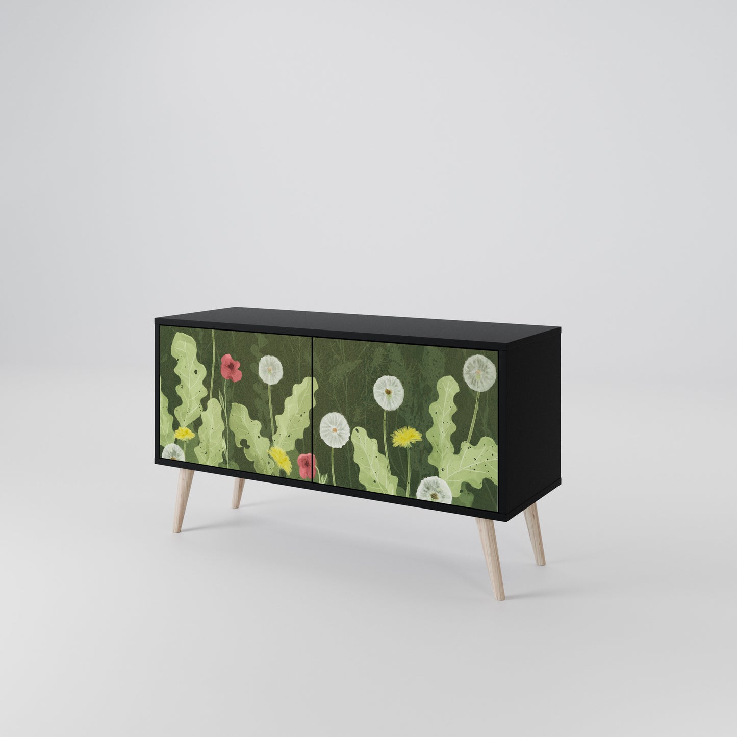 DANDELION AMUSE Kompaktes 2-türiges TV-Lowboard