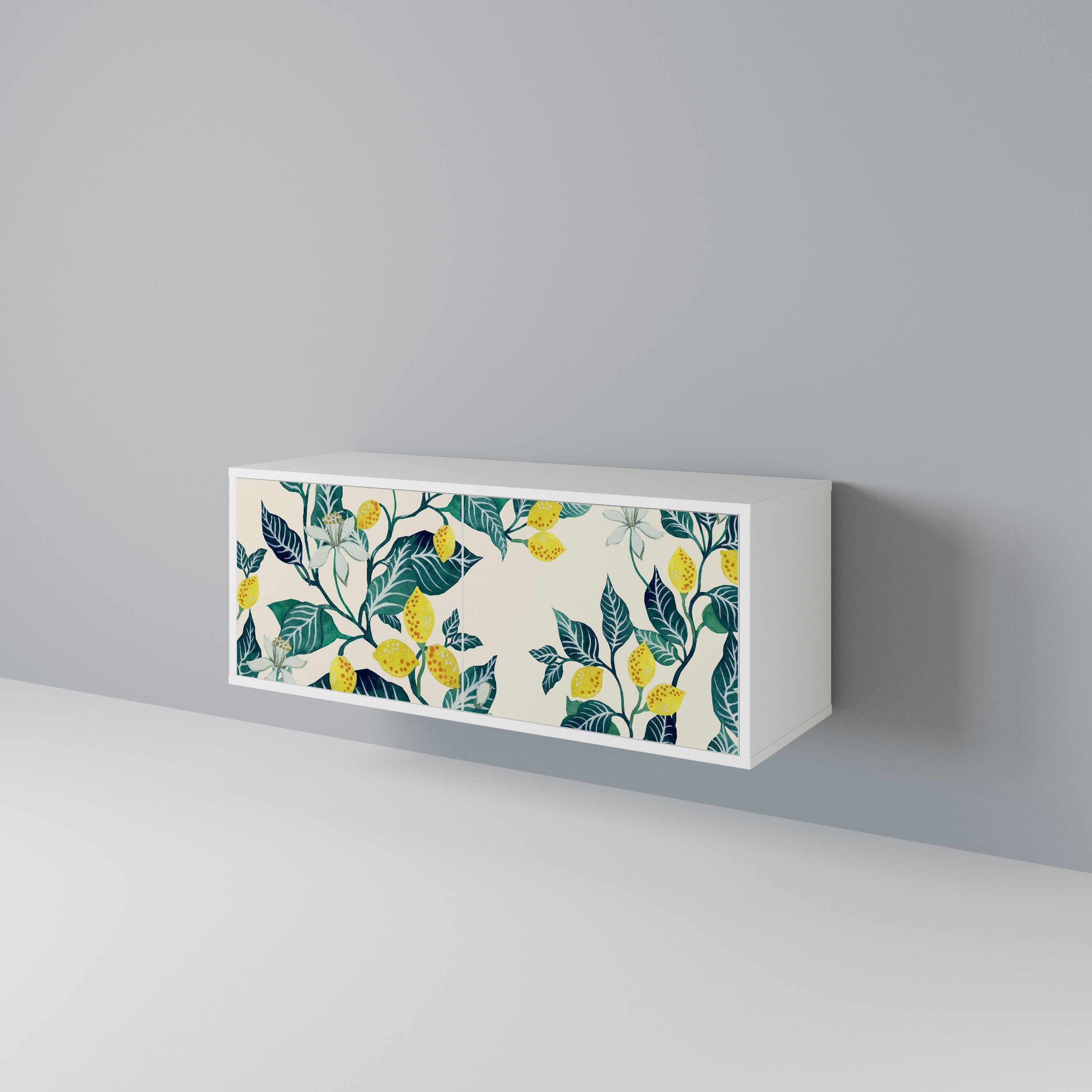 LEMON TREE Kompaktes 2-türiges TV-Lowboard