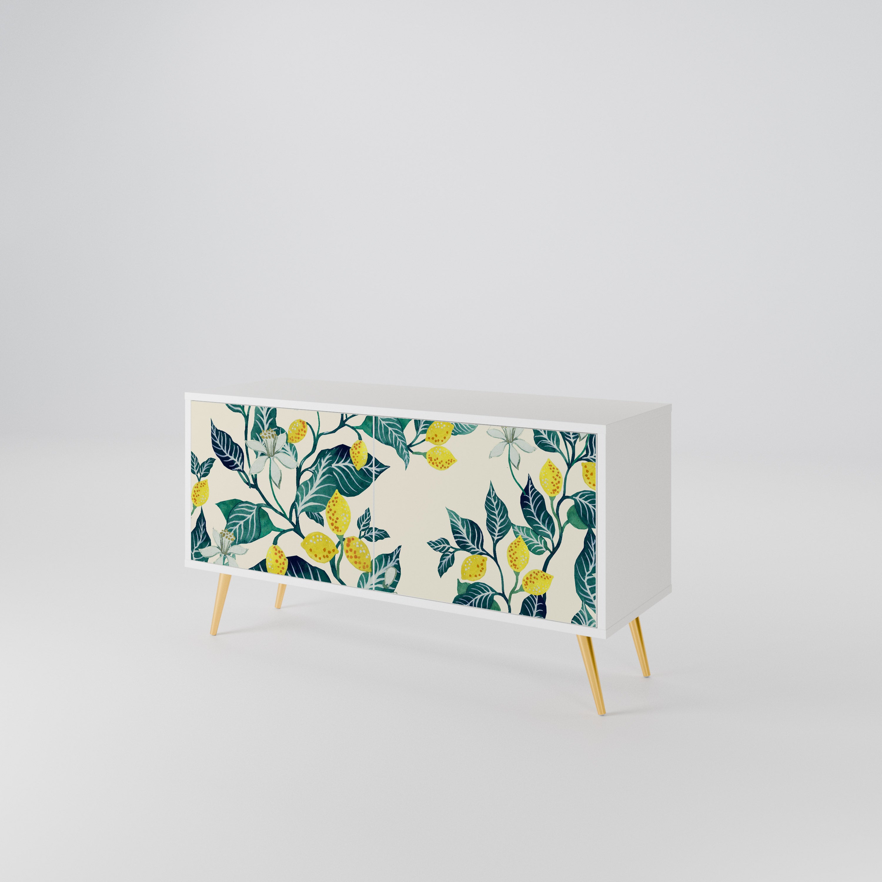 LEMON TREE Kompaktes 2-türiges TV-Lowboard