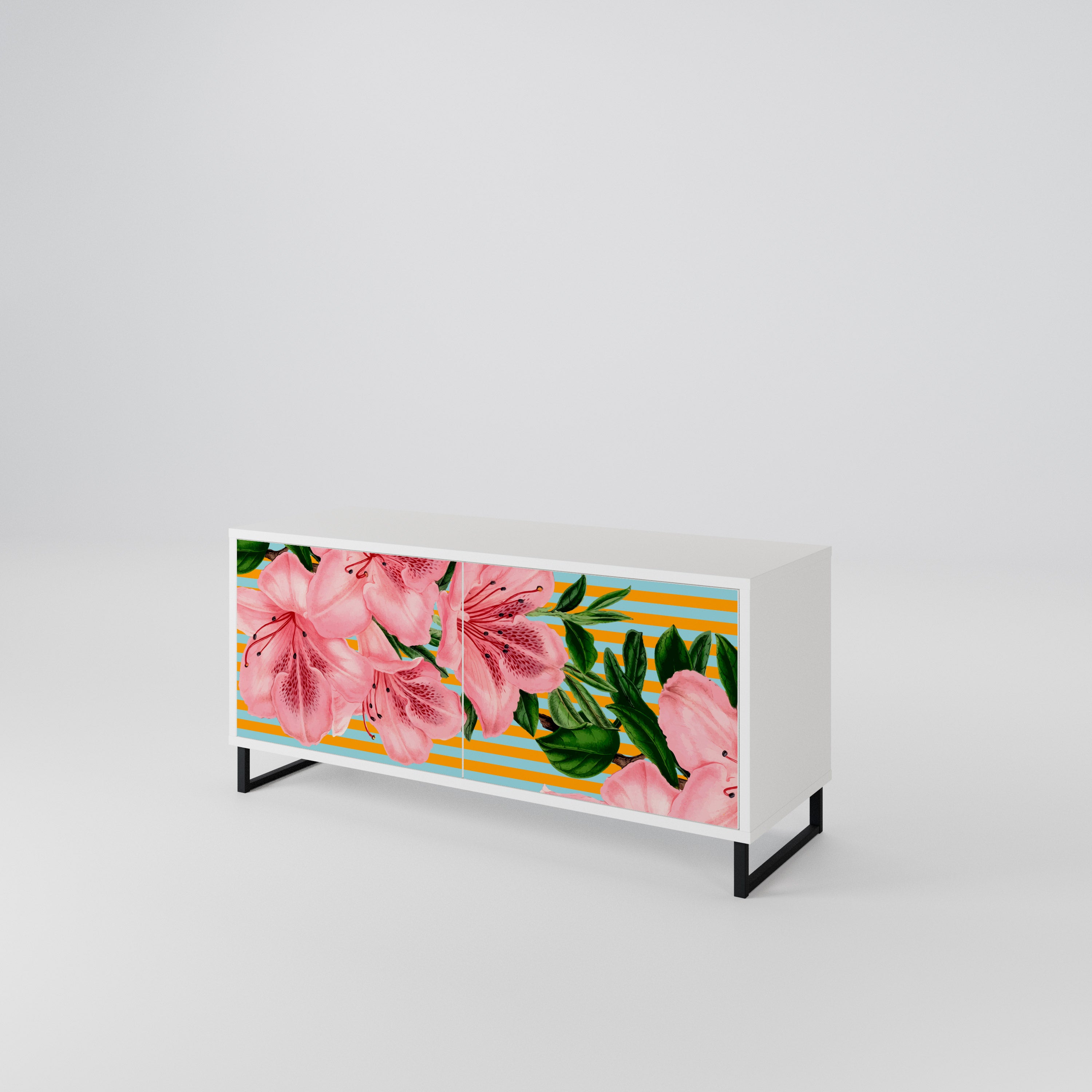 FRAGILE BEAUTY Kompaktes 2-türiges TV-Lowboard
