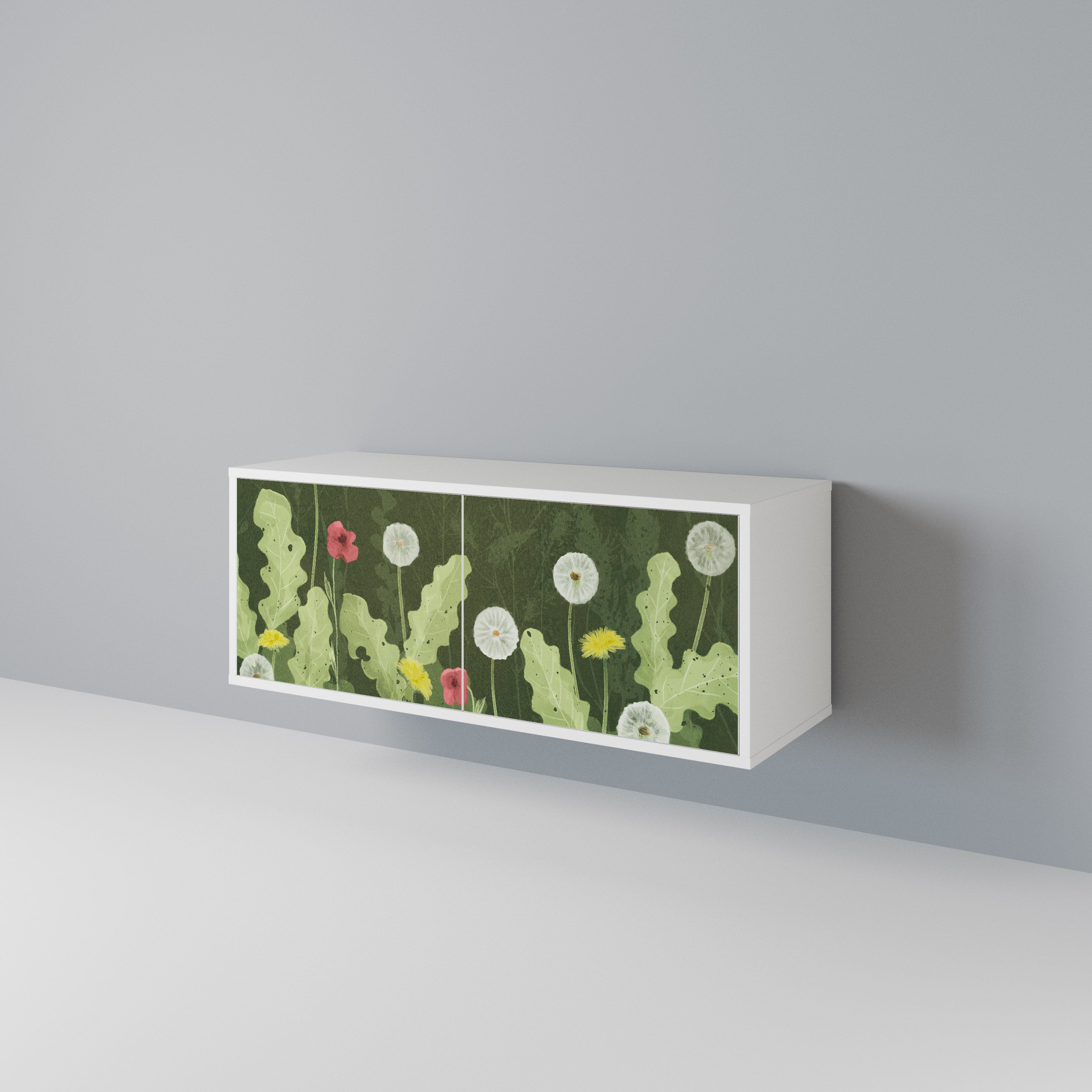 DANDELION AMUSE Kompaktes 2-türiges TV-Lowboard