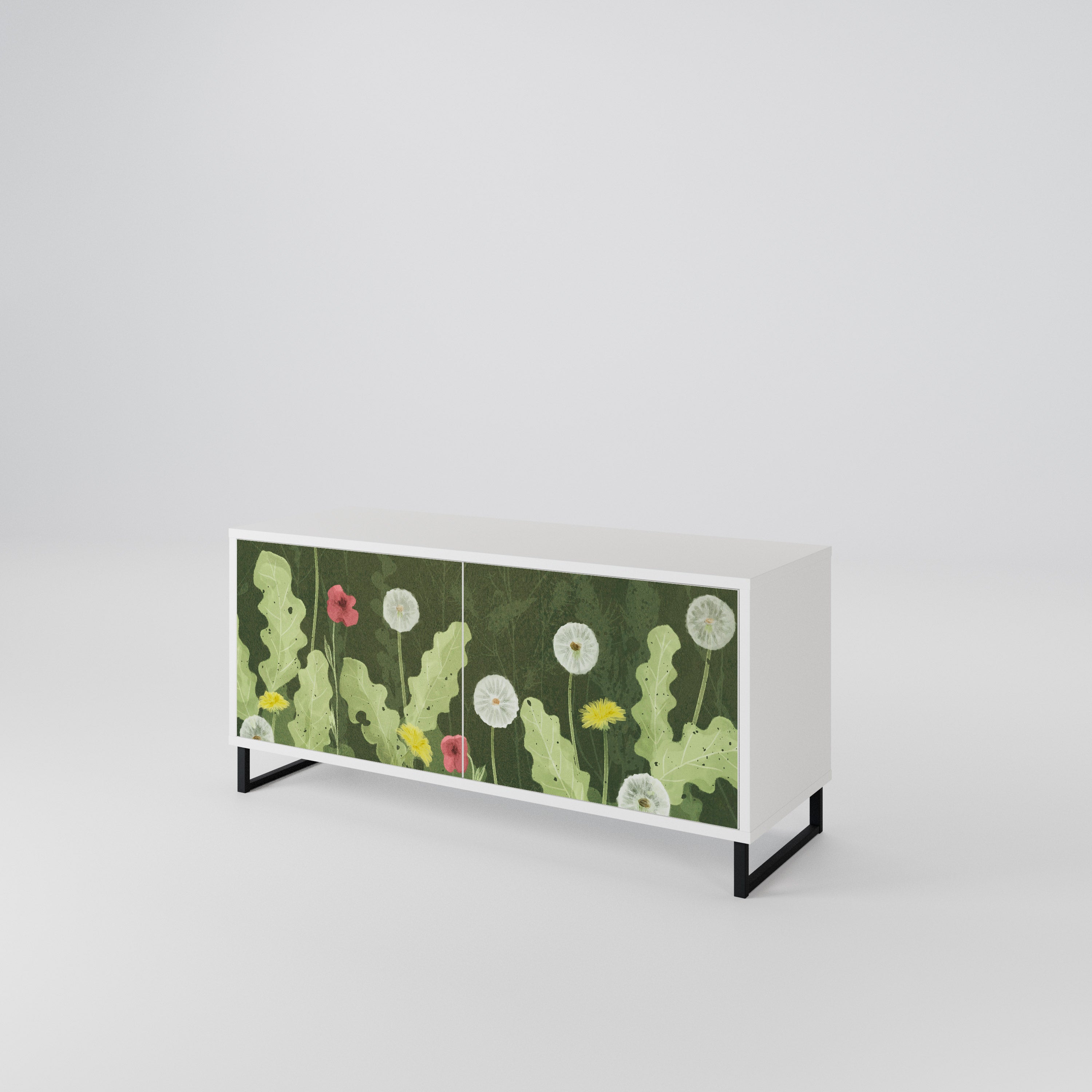 DANDELION AMUSE Kompaktes 2-türiges TV-Lowboard