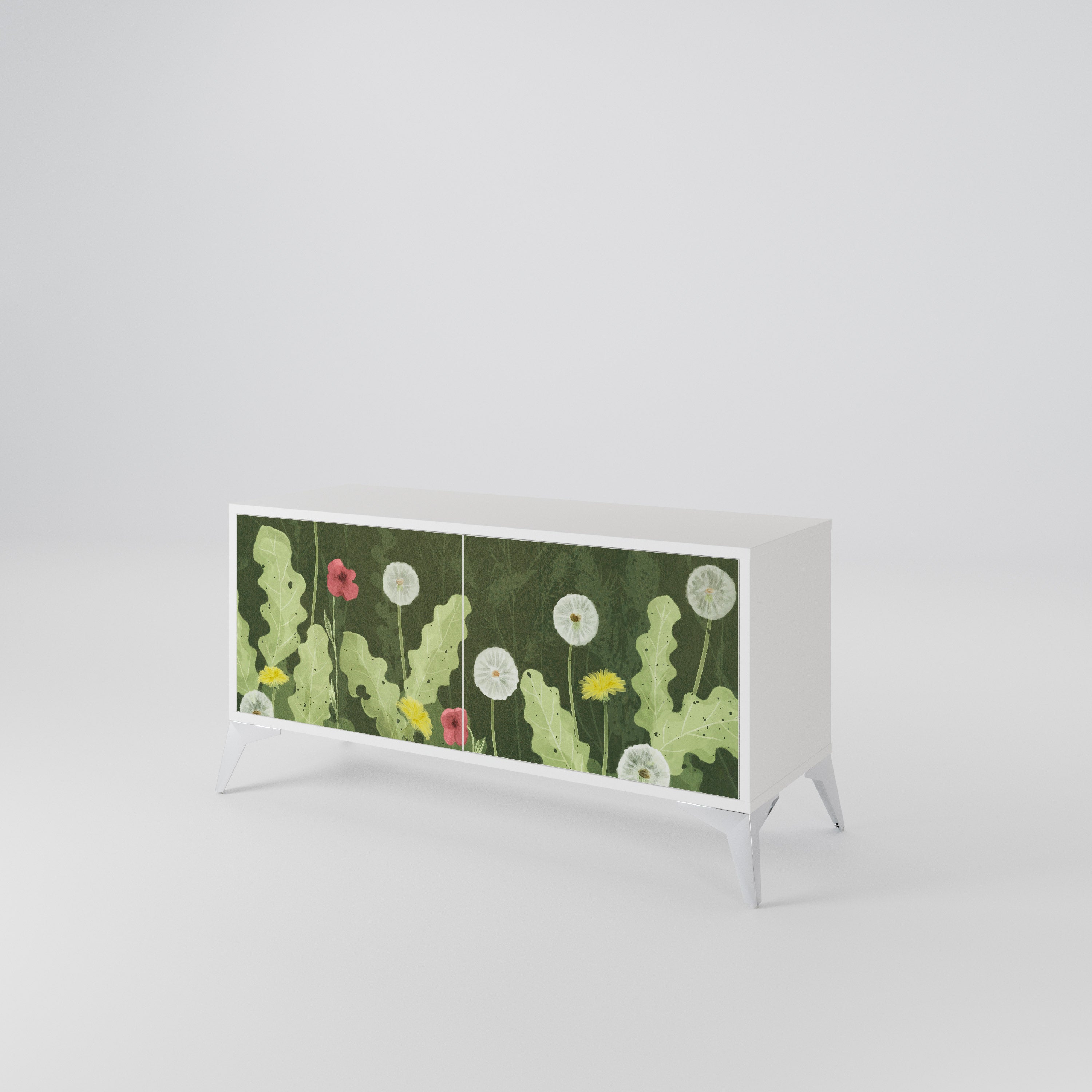 DANDELION AMUSE Kompaktes 2-türiges TV-Lowboard