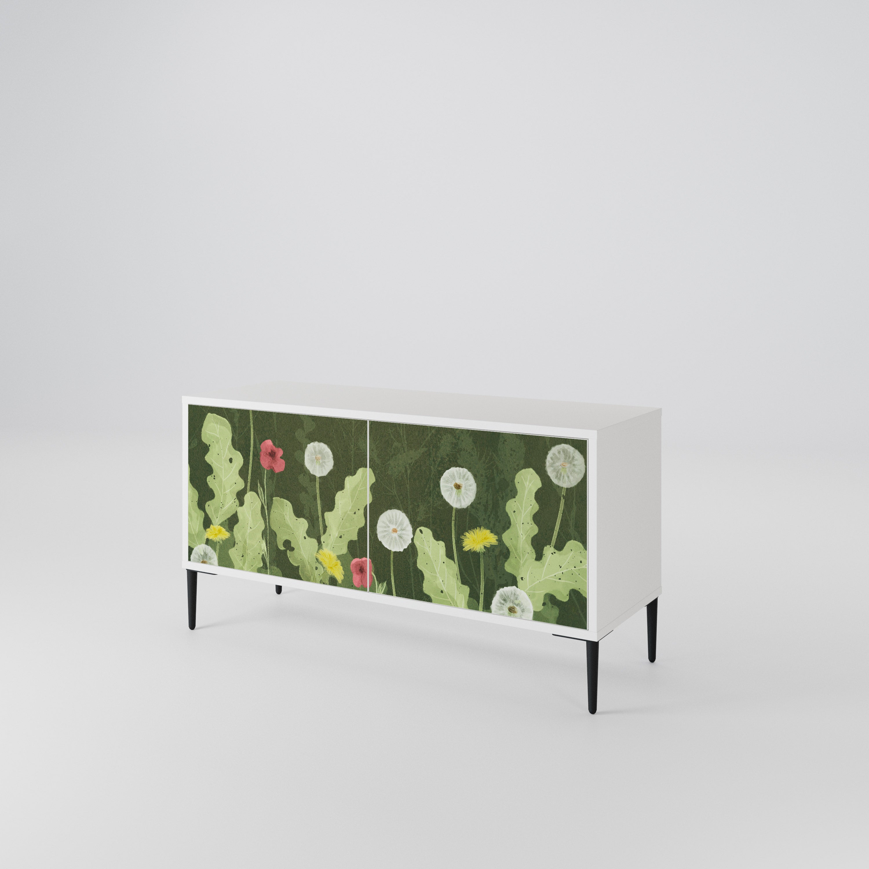 DANDELION AMUSE Kompaktes 2-türiges TV-Lowboard