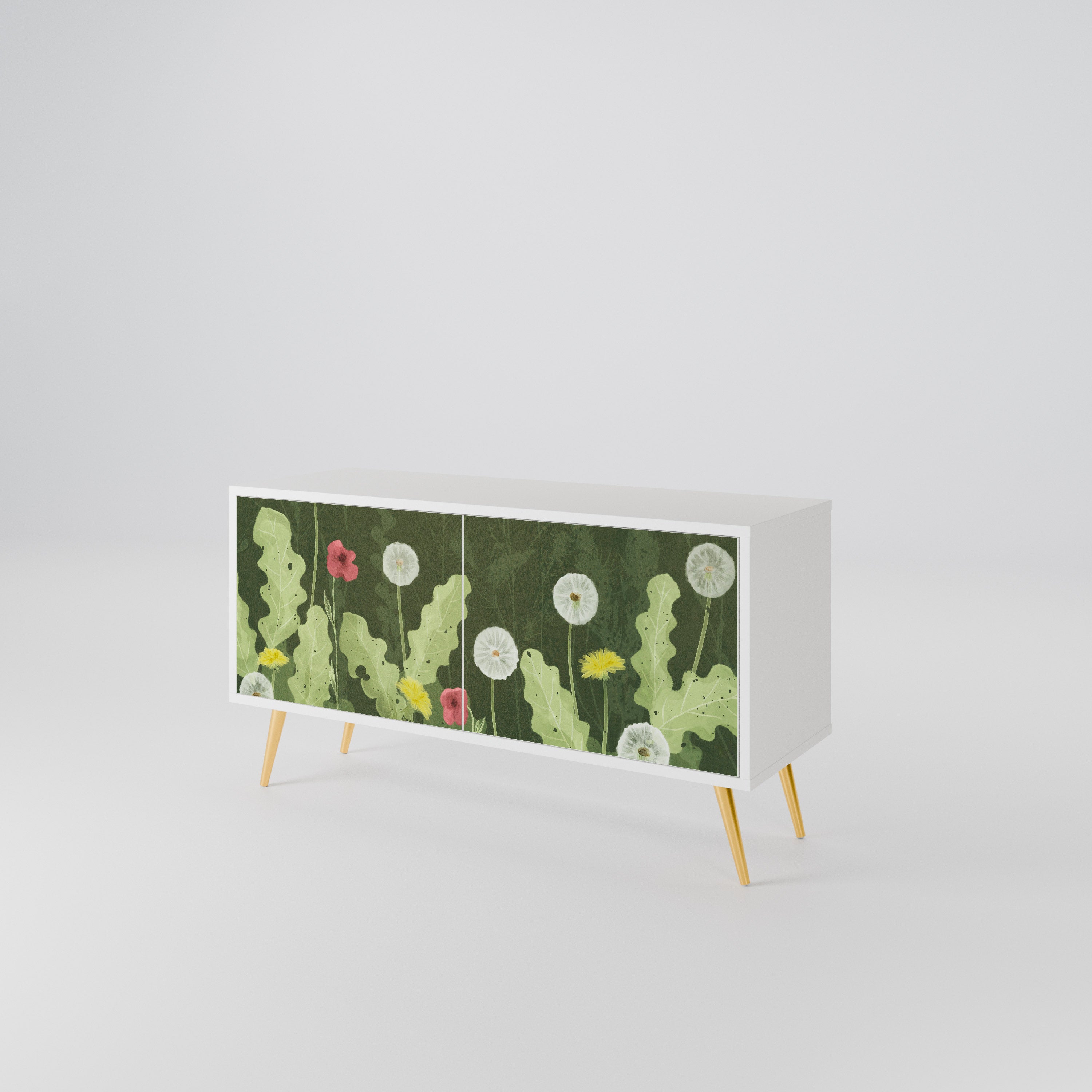DANDELION AMUSE Kompaktes 2-türiges TV-Lowboard