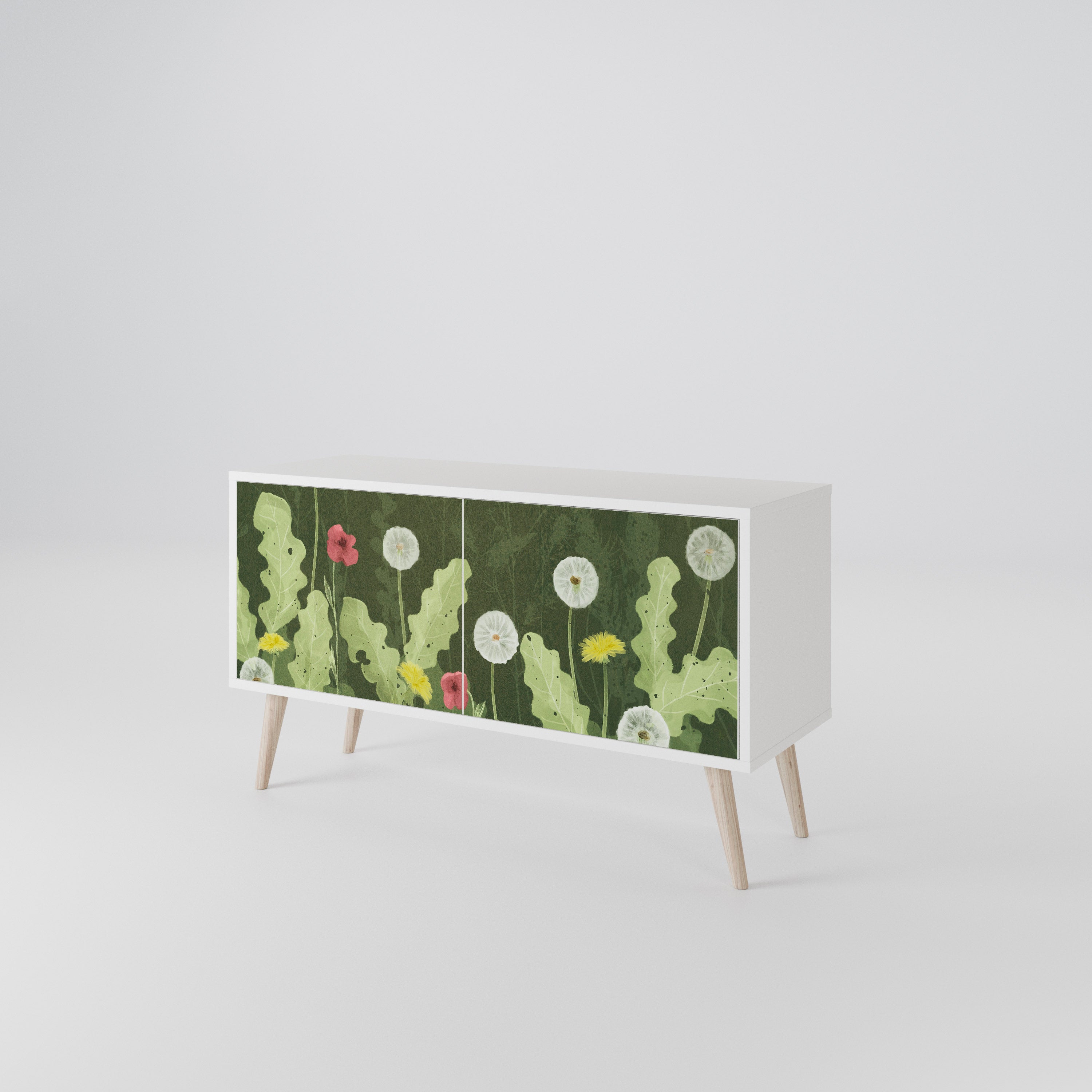 DANDELION AMUSE Kompaktes 2-türiges TV-Lowboard